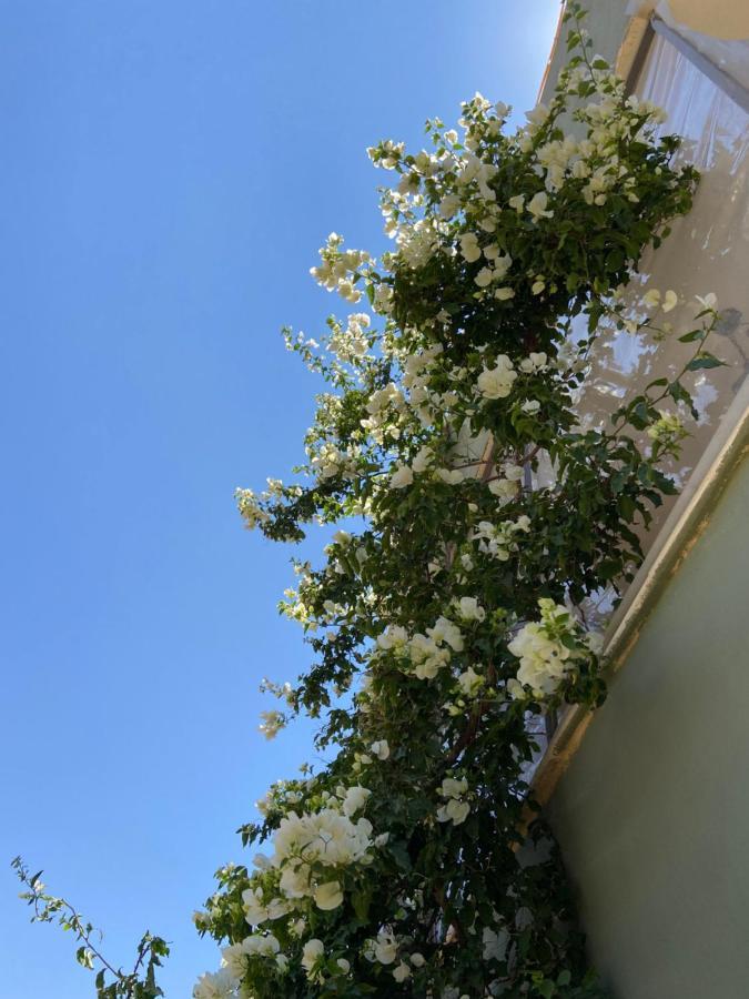 Simple Home Madaba Esterno foto